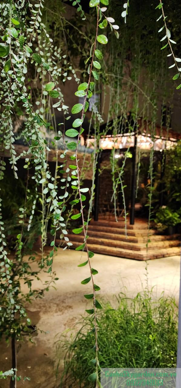 Bán shophouse Sky garden 2, 212m2 giá 18 tỷ (HĐT: 80tr/ tháng) Bán (16)