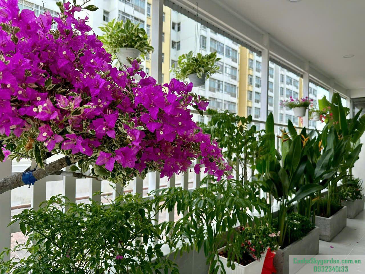 Bán căn hộ sân vườn 114m2 hiếm thiết kê 3PN 2WC giá 8ty5 - 53 Bán căn hộ sân vườn 114m2 hiếm thiết kê 3PN 2WC giá 8ty5 Bán (53)