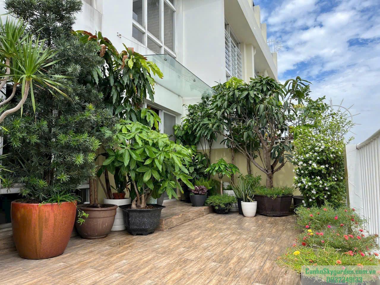 Bán Penthouse Sky garden 3 300m2 4PN 3WC giá 12,7 tỷ 2 sân vườn Bán (1)