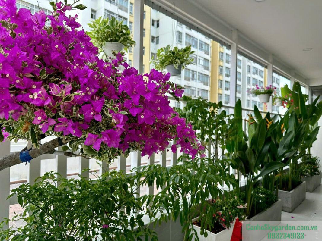 Bán Sky garden 2 3PN 91m2 nội thất đầy đủ. Giá 6ty690 Bán (71)