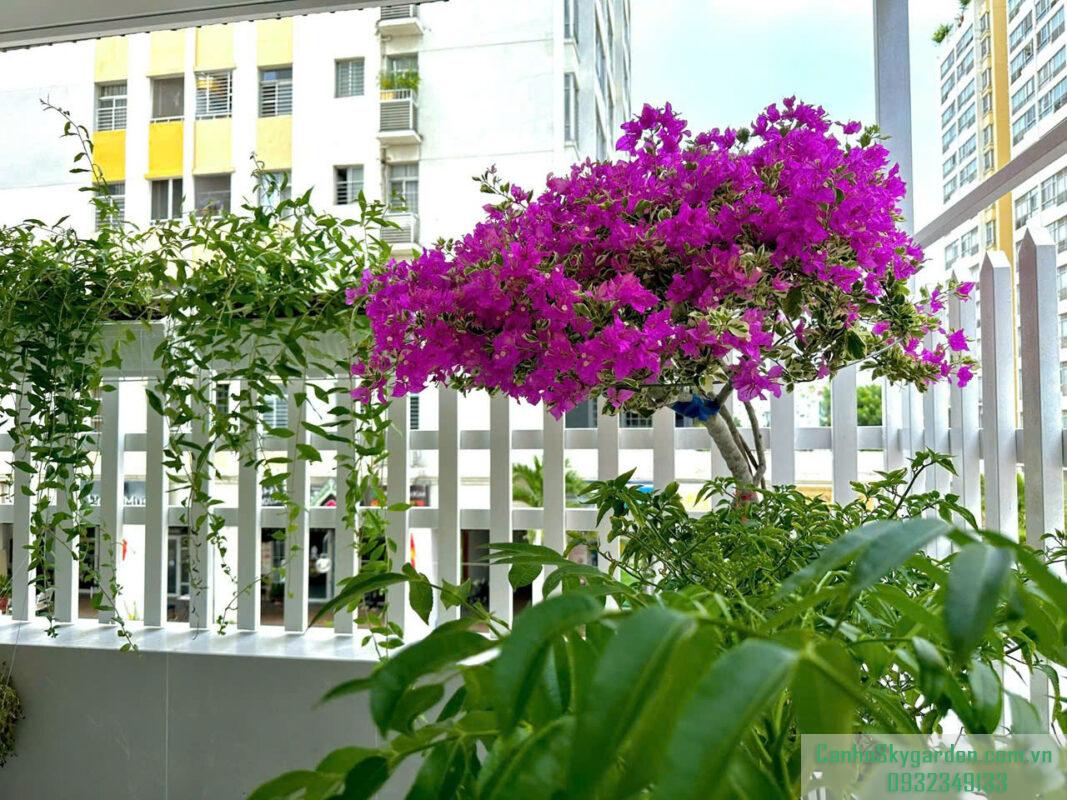 Bán Sky garden 2 3PN 91m2 nội thất đầy đủ. Giá 6ty690 Bán (72)