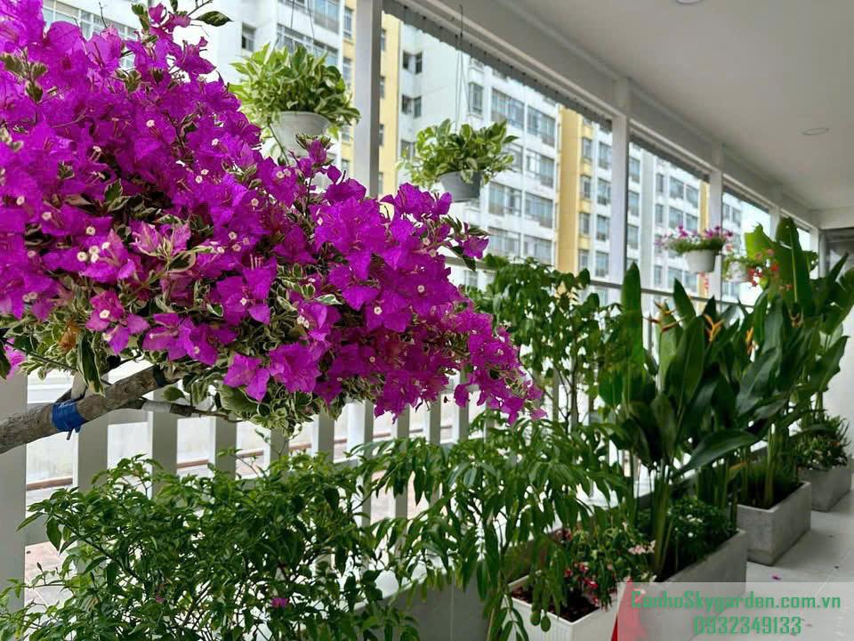 BÁN CĂN HỘ SIÊU ĐẸP SKY GARDEN 3 VỚI DIỆN TÍCH 70.12 M2 ,THIẾT KẾ 3PN-2WC Bán (47)