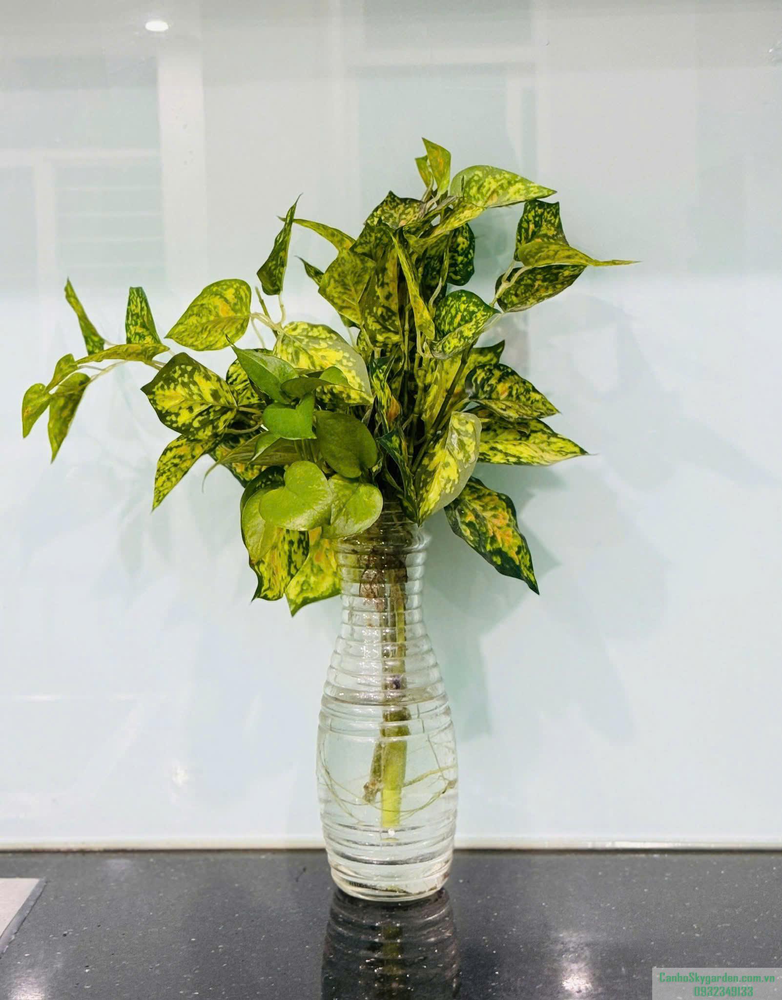 Cần bán căn Sky Garden 3, DT 57m2 - 2 phòng ngủ đầy đủ nội thất. Giá đầu tư rẻ nhất thị trường Bán (81)